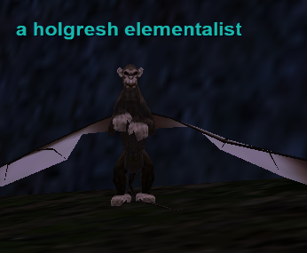 a holgresh elementalist